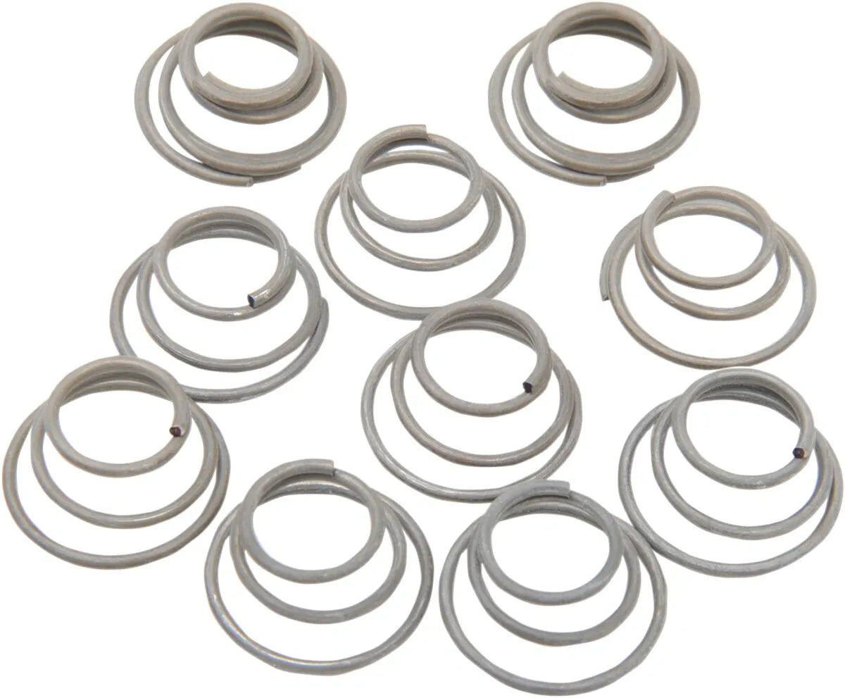 EASTERN MOTORCYCLE PARTS Fjädrar för Kopplingsnav 37574-44 - PE11320621 bild 1 PMIMAGE:D119E938502A62E4FE45