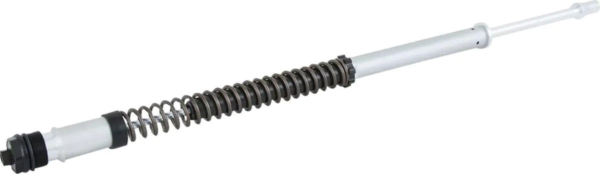 OHLINS Fork Cartridge Kit Harley-Davidson FL NIX22 FKS 226 - PE04130159 bild 3 PMIMAGE:89081E2B28574C100E1C
