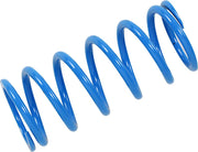 Epi Primary Clutch Spring Centrifugalkopplingar primär M - PESDPS1 bild 1 PMIMAGE:3BFEB91FCC56518E670B
