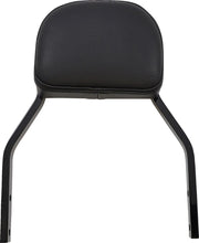 Cobra Detachable Backrest Kit Sissybars - PE15010595 bild 2 PMIMAGE:BA4B7B5ADF66A7ABF671