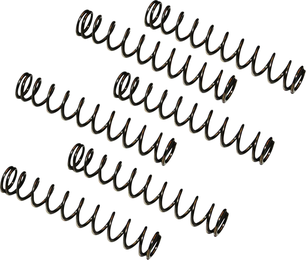 FEULING PARTS Camplate Tryckavlastningsfjäder 6-pack - PE09250300 bild 1 PMIMAGE:04C17FFE4B09F4D3265F