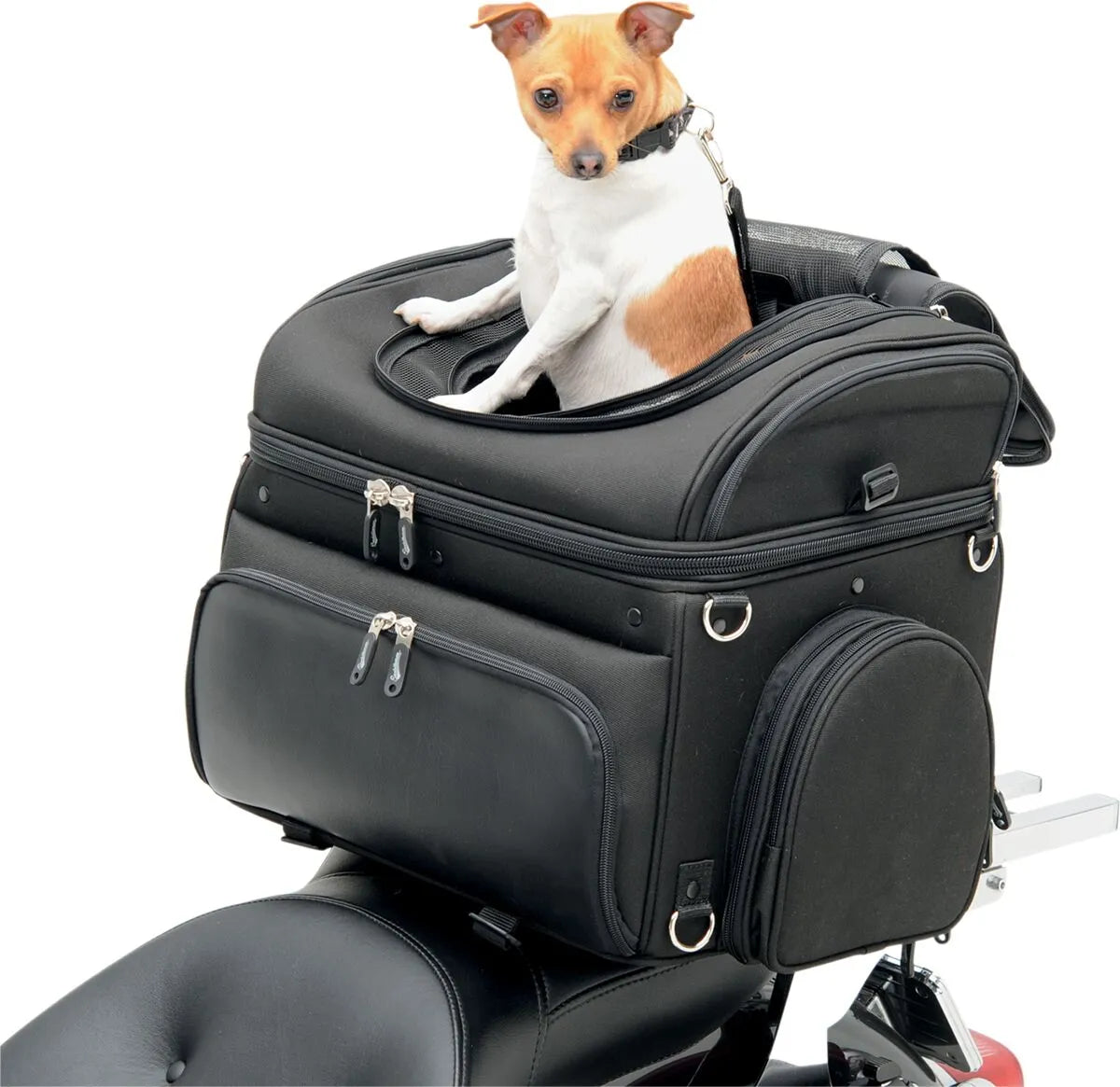 SADDLEMEN Pet Voyager - PE35150131 bild 1 PMIMAGE:2E99C14390C726492E88
