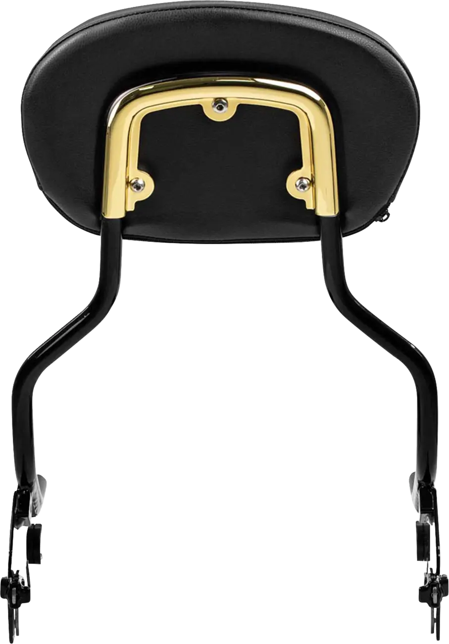 Saddlemen 3-Point Sissy Bar Pad Bracket Ryggstöd för sadlar - PE08220624 bild 3 PMIMAGE:7BBFDF5DA53D814E0514