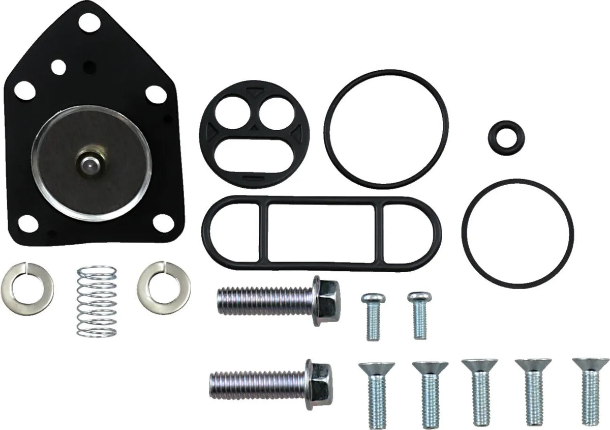 Parts Unlimited Petcock Repair Kit Bensinkranar & ventiler - PE07050446 bild 1 PMIMAGE:09F82351F489FFDB1A8F