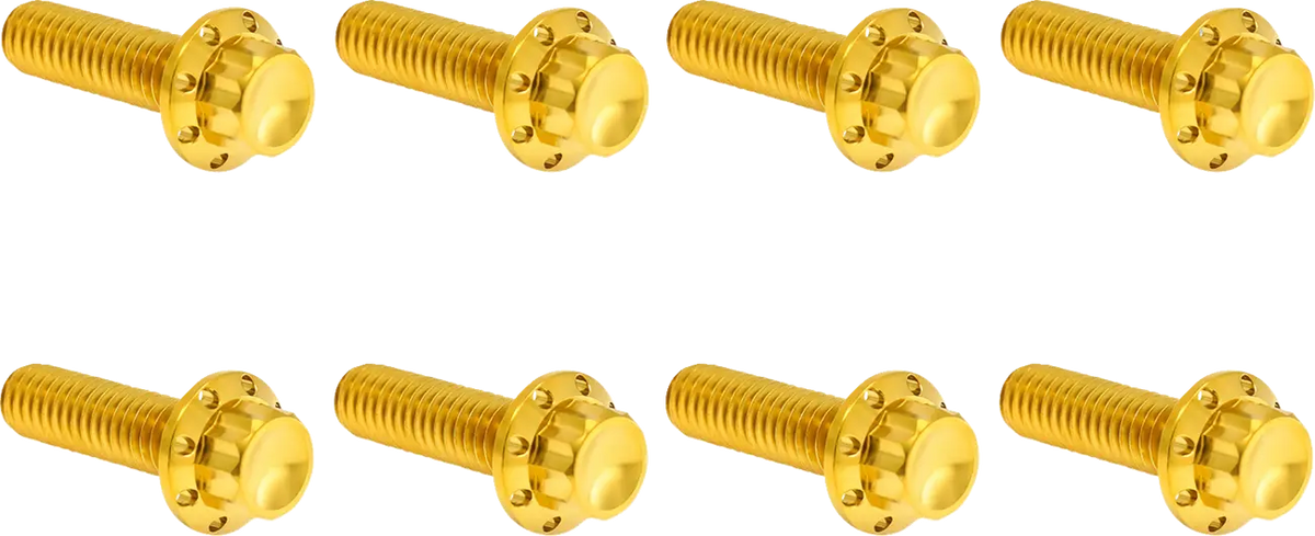 Arlen Ness Transmission Trap Door Titanium 12-Point Bolt Kit Monteringssats fordonsanpassade - PE24011820 bild 1 PMIMAGE:1D00E9FB2D93008BFAE7