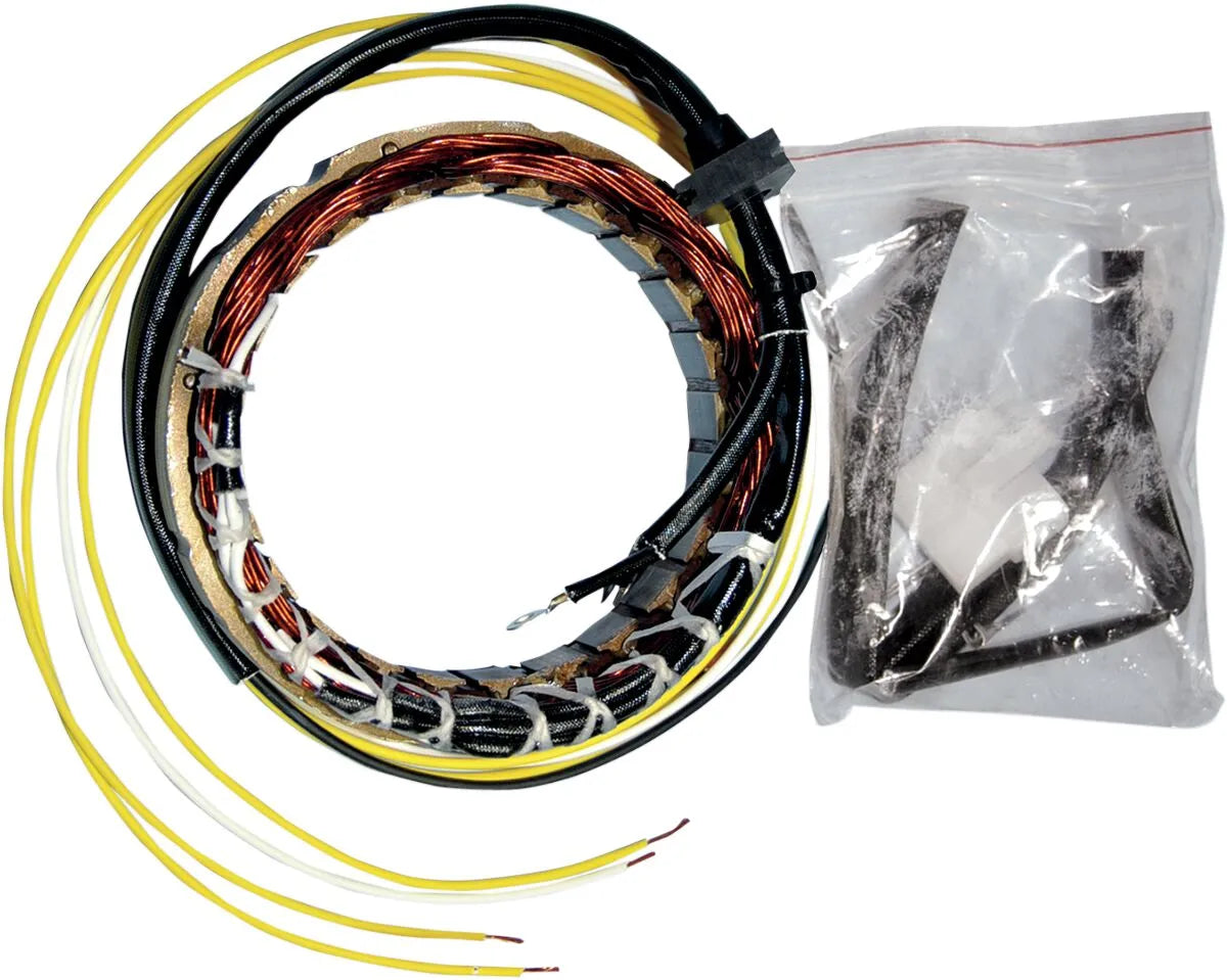 RICK'S MOTORSPORT ELECTRIC Stator Honda 21-100 - PE21120583 bild 1 PMIMAGE:1ECCFD5307E88A70C18F
