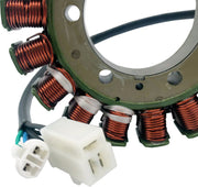 RICK'S MOTORSPORT ELECTRIC Stator Arctic Cat - PE21121695 bild 2 PMIMAGE:EA8CEB46D9AB6AE844DE