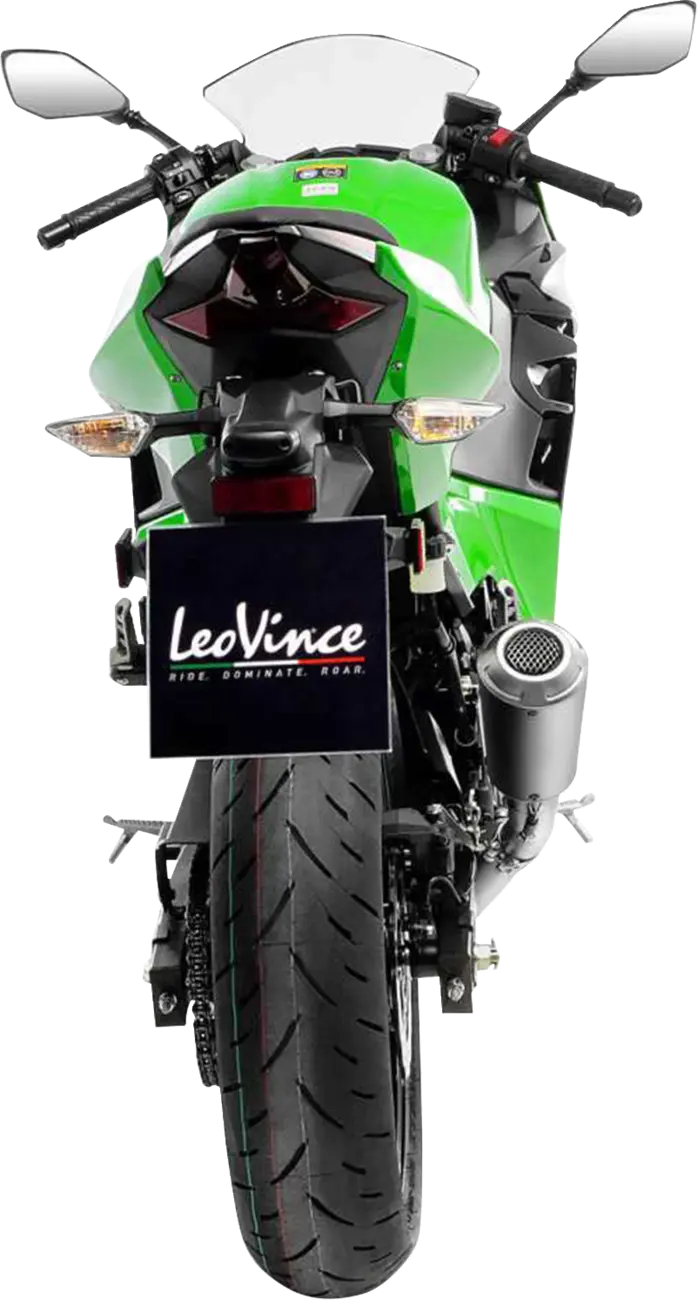 LEOVINCE LV-10 Slip-On Ljuddämpare - PE18113537 bild 6 PMIMAGE:5FDB5A43BE88BF9F39FA