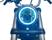 CUSTOM DYNAMICS ProGLOW™ LED Strålkastare med Färgomskiftande Halo - PE20012482 bild 5 PMIMAGE:F05FA3086F18AC6F6730