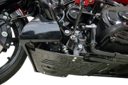 Thrashin Supply Co Forged Carbon Fiber Skid Plate Motorskydd - PE05062532 bild 6 PMIMAGE:71E7BDB509F92117E86F