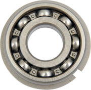 Eastern Motorcycle Parts Counterbalance Shaft Bearing Övriga motordelar - PE09500326 bild 1 PMIMAGE:693A6AE294547927BA1A