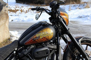 Cult Werk Dash Cover for Harley Instrumentpaneler - PE22010245 bild 3 PMIMAGE:DDA1123B61665F7B53F0