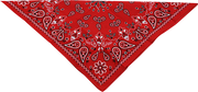 Zan Headgear Cotton Bandana Bandanas & huvuddukar - PE25040493 bild 1 PMIMAGE:A064B09E398AC84D108A