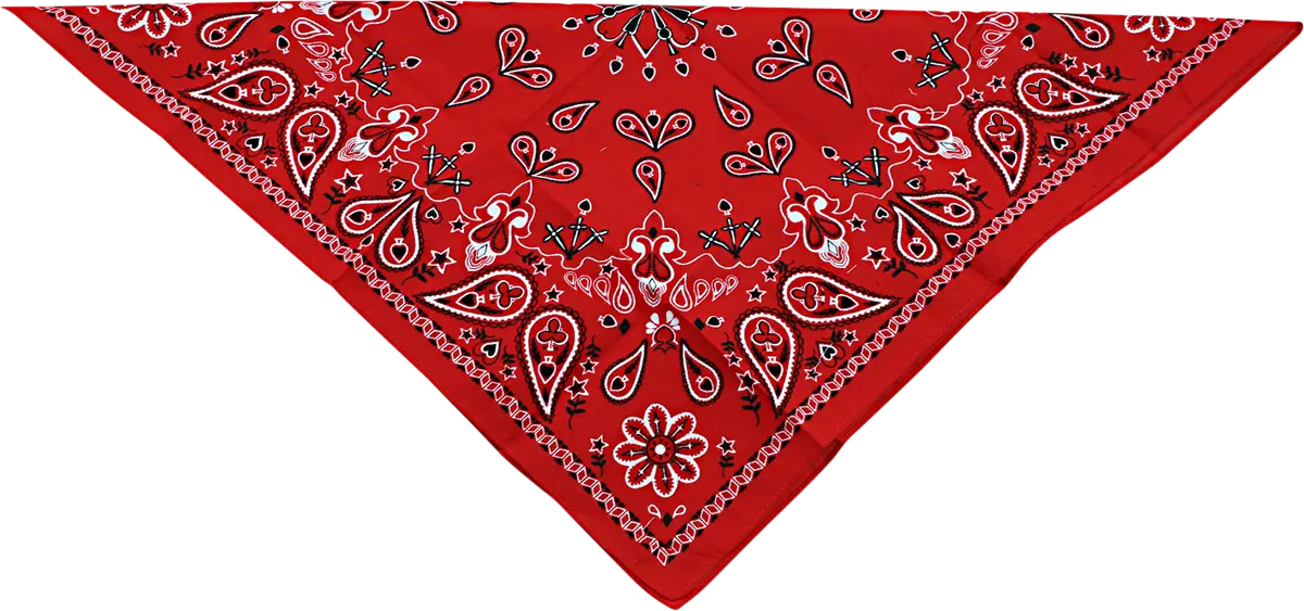 Zan Headgear Cotton Bandana Bandanas & huvuddukar - PE25040493 bild 1 PMIMAGE:A064B09E398AC84D108A