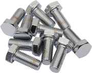 Drag Specialties Replacement Fine Thread Hex Head Bolts Monteringssats sortiment - PEDS190635 bild 1 PMIMAGE:93E29BB49FA8E9993D83