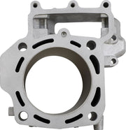 CYLINDER WORKS Standard Motorcylinder TERYX Bak - PE09311025 bild 1 PMIMAGE:980DD02A990D7A215A87