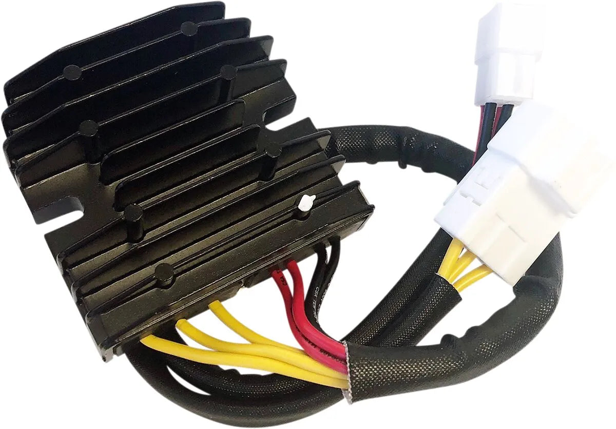 RICK'S MOTORSPORT ELECTRIC Hot Shot Reglage och Likriktare - PE21121442 bild 1 PMIMAGE:A5E5EAE84B806E7EC81F