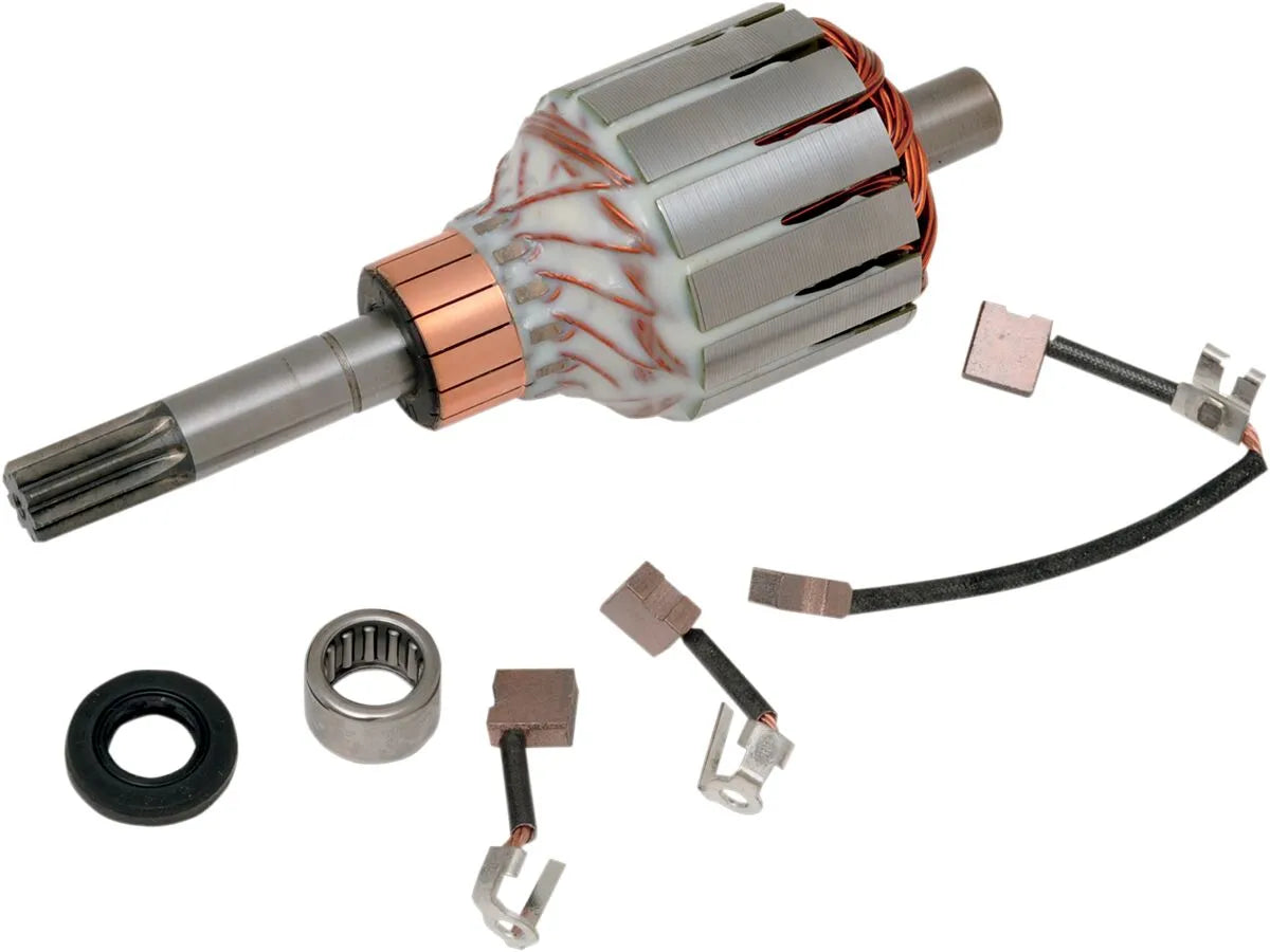 RICK'S MOTORSPORT ELECTRIC Startmotor Rebuild Kit - PE21100402 bild 1 PMIMAGE:FEEF0C02A6CD0A2375B0