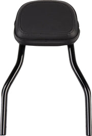 Cobra Detachable Backrest Kit Sissybars - PE15010562 bild 1 PMIMAGE:686718EB4B40A7DE47DF
