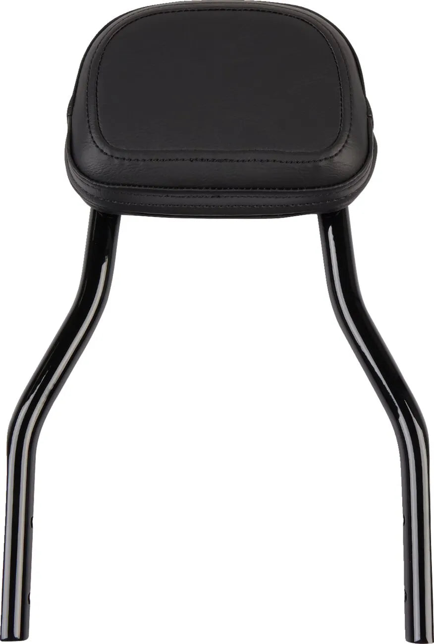 Cobra Detachable Backrest Kit Sissybars - PE15010562 bild 1 PMIMAGE:686718EB4B40A7DE47DF