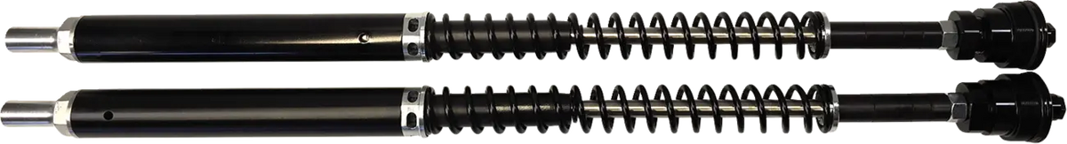 Custom Cycle Engineering Cartridge Kit Dämpare framgaffel - PE04140778 bild 1 PMIMAGE:37F4213FAC2D8109BCD2