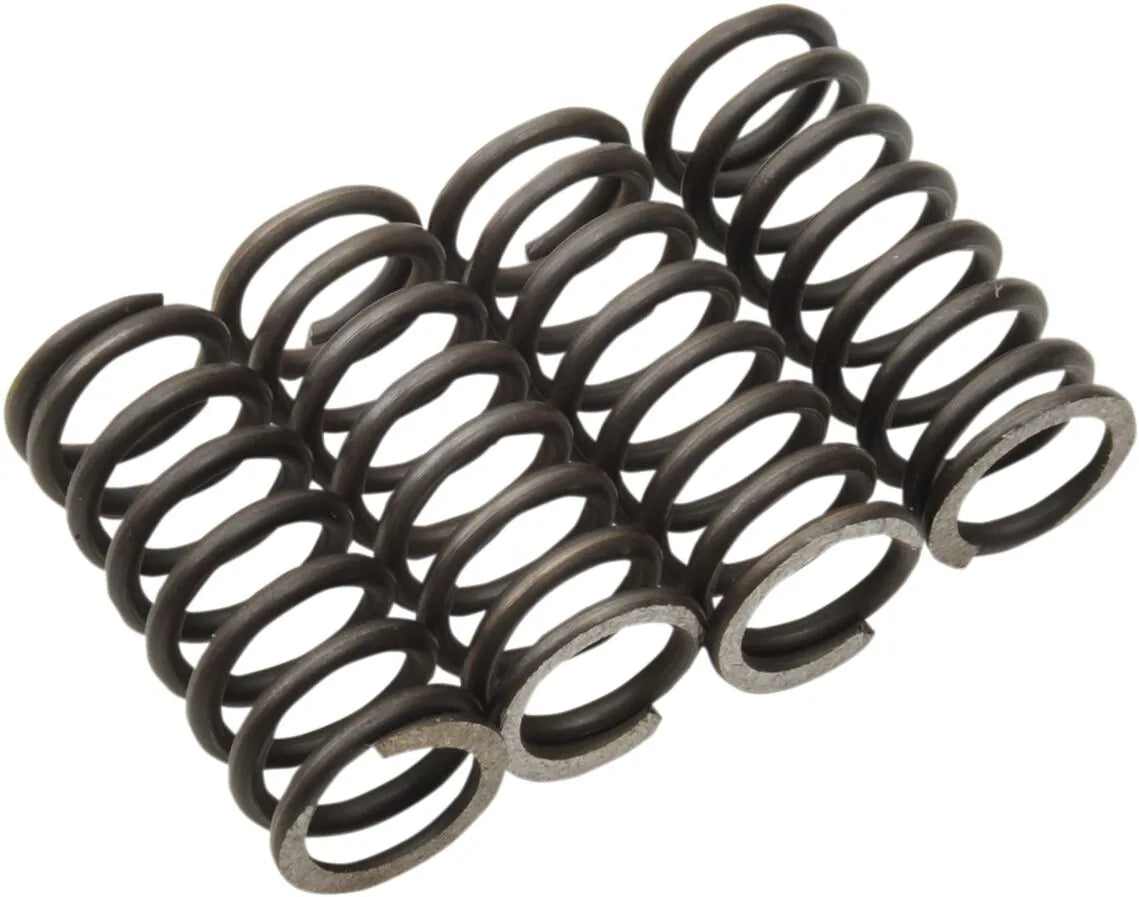 MOOSE OFFROAD HARD-PARTS Kopplingsfjädrar TTR125 02+ - PEFHDS424 bild 1 PMIMAGE:AFAD01F6941C7A8FA350