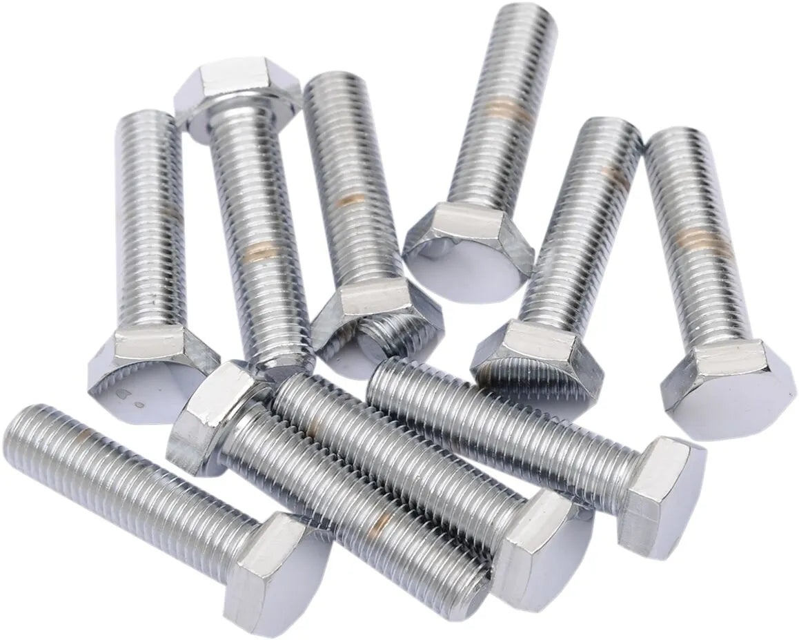 Drag Specialties Replacement Fine Thread Hex Head Bolts Monteringssats sortiment - PEDS190638 bild 1 PMIMAGE:52E7997A8B662005AE9A