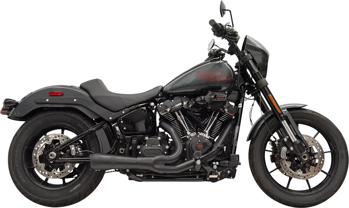 Bassani Xhaust 2-into-1 The Ripper Exhaust System Kompletta avgassystem Harley - PE18002752 bild 2 PMIMAGE:6A31841121595754FC3D