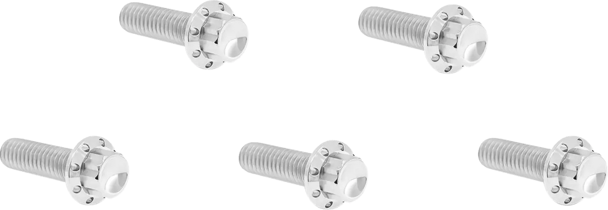 Arlen Ness Derby Cover Titanium 12-Point Bolt Kit Monteringssats fordonsanpassade - PE24011790 bild 1 PMIMAGE:4141914651E96001C4F5