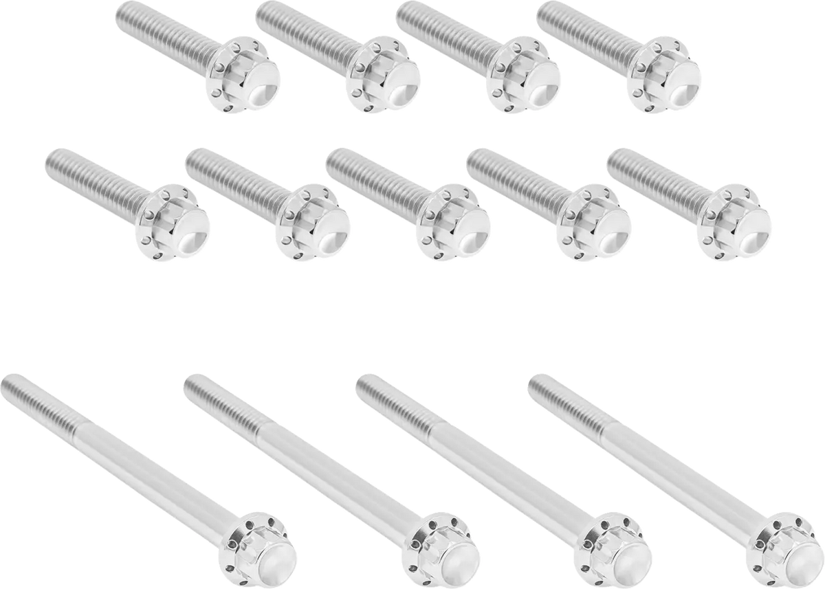 Arlen Ness Outer Primary Cover Titanium 12-Point Bolt Kit Monteringssats fordonsanpassade - PE24011767 bild 1 PMIMAGE:B27EDB0105A1E48019FB
