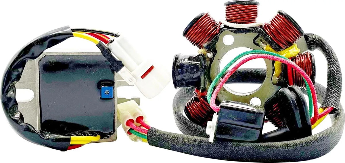 RICK'S MOTORSPORT ELECTRIC Lithium-Ion kompatibelt laddningskit - PE21121735 bild 1 PMIMAGE:7ADD9FD6D1C5FD82FD7E