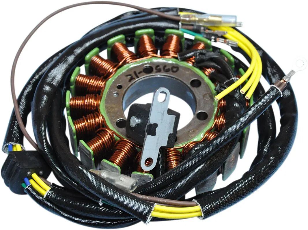 RICK'S MOTORSPORT ELECTRIC Stator Polaris 18-polig - PE21120646 bild 1 PMIMAGE:8E600120D34908CA0BF4