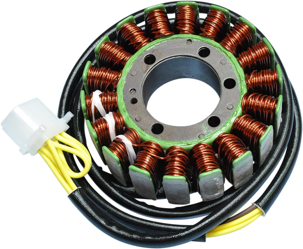 RICK'S MOTORSPORT ELECTRIC Stator Polaris 18-polig - PE21120645 bild 1 PMIMAGE:B878D681B858C7506DAB