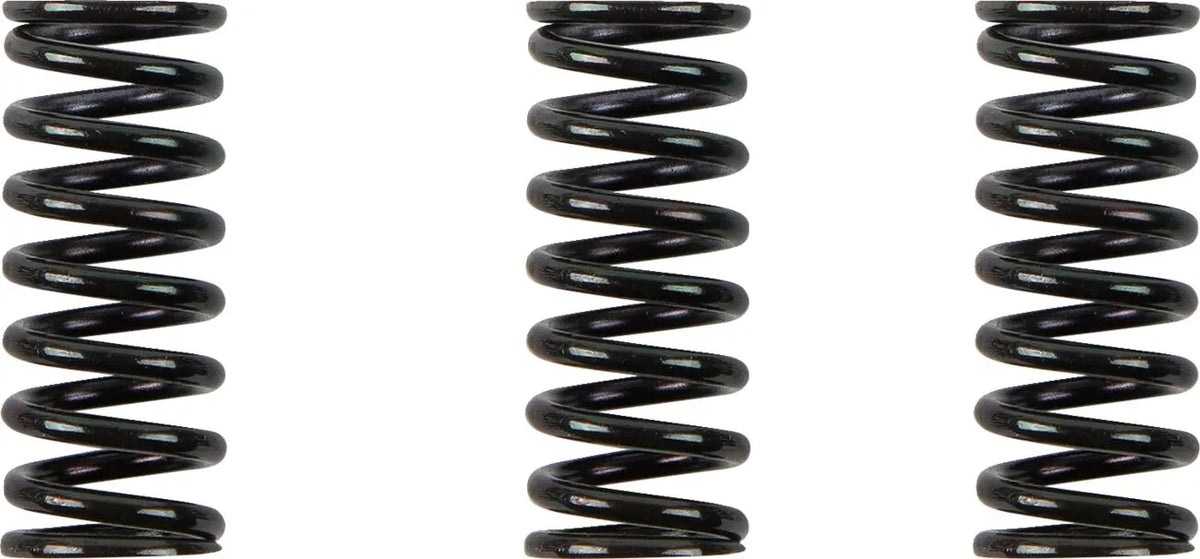 BARNETT Clutch Spring Kit för Ducati - PE11312301 bild 1 PMIMAGE:4EF76EECD5465D98EB7D
