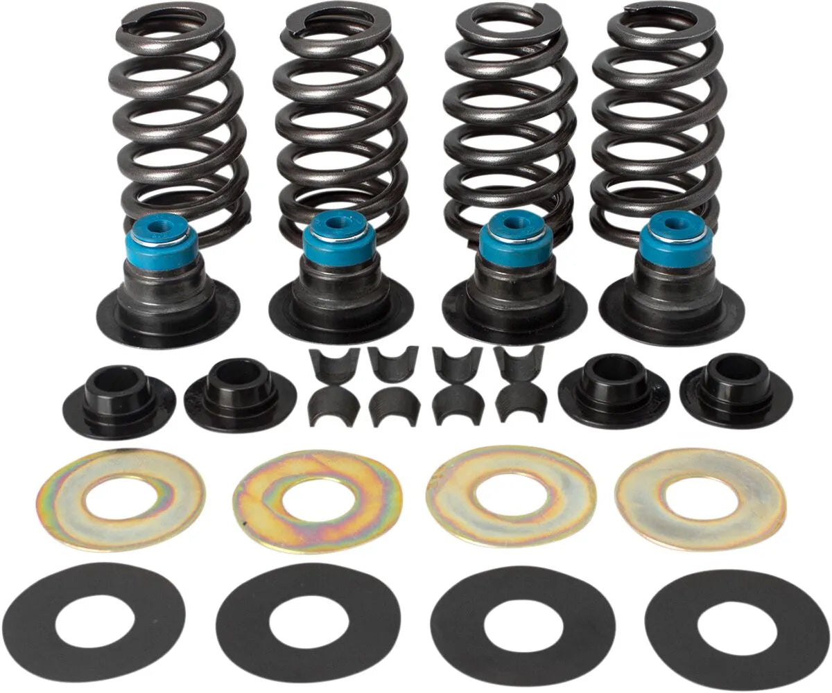 S&S CYCLE 0,585" Street Performance Ventilfjäder Kit - PE09262723 bild 1 PMIMAGE:A6B9AE564297523674D5