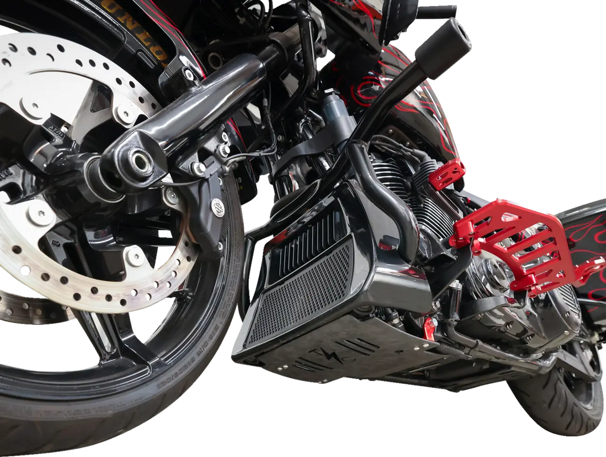 Thrashin Supply Co Forged Carbon Fiber Skid Plate Motorskydd - PE05062533 bild 6 PMIMAGE:B0EBC62C984F271FF418