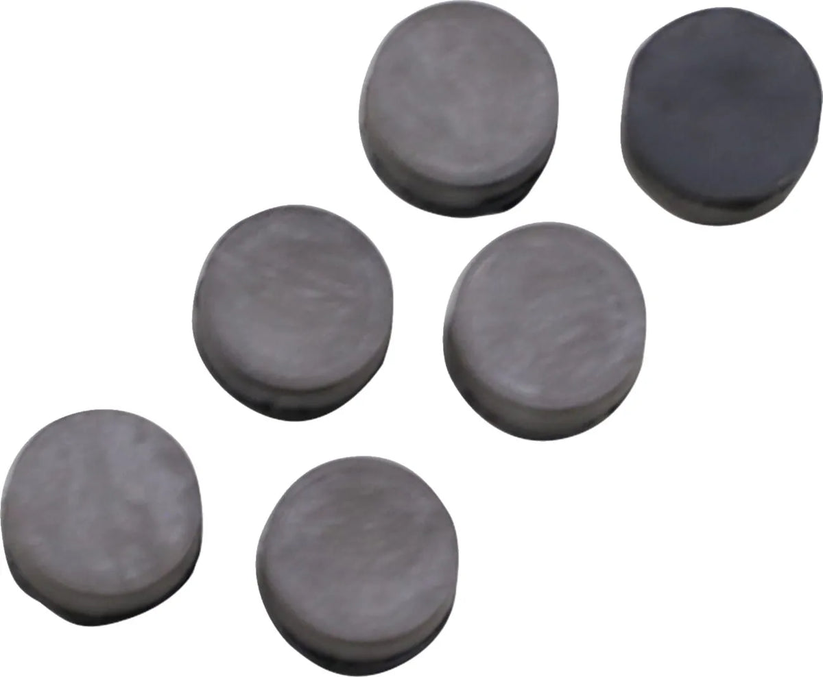 EPI Primary Clutch Button Kit Polaris - PE11400747 bild 1 PMIMAGE:F0DBE023142F08E6E673