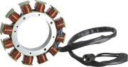 CYCLE ELECTRIC INC Stator XL 14-22 OEM 29900026 - PE21121848 bild 1 PMIMAGE:2897194B975695D265E6