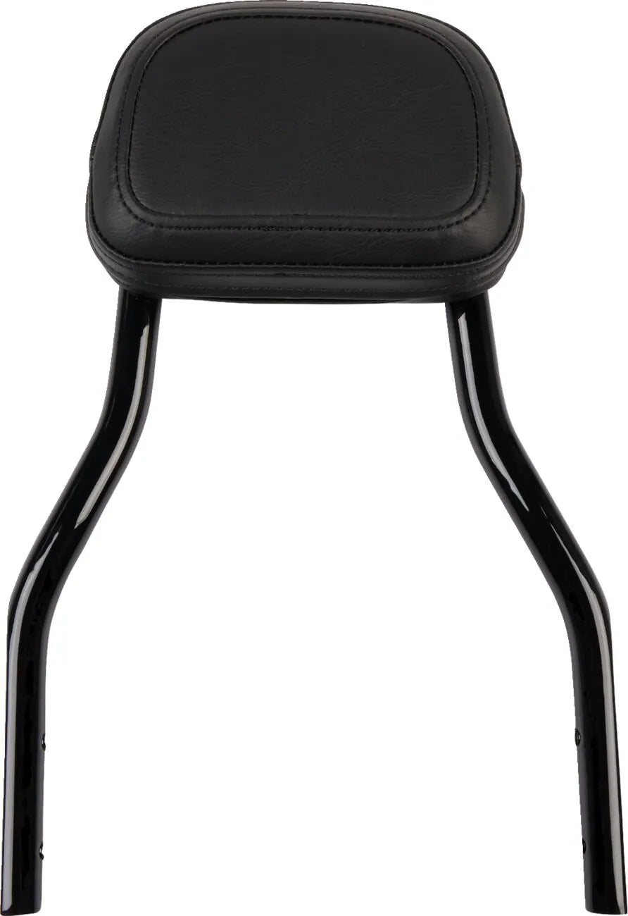 Cobra Detachable Backrest Kit Sissybars - PE15010560 bild 1 PMIMAGE:CF99CE8F4C63C0300EBD