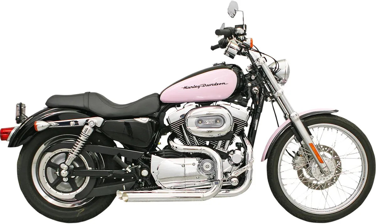 BASSANI XHAUST Pro-Street Avgasystem XL 86-03 för Forward Controls - PE18000647 bild 2 PMIMAGE:53466CF4C621C448AC02