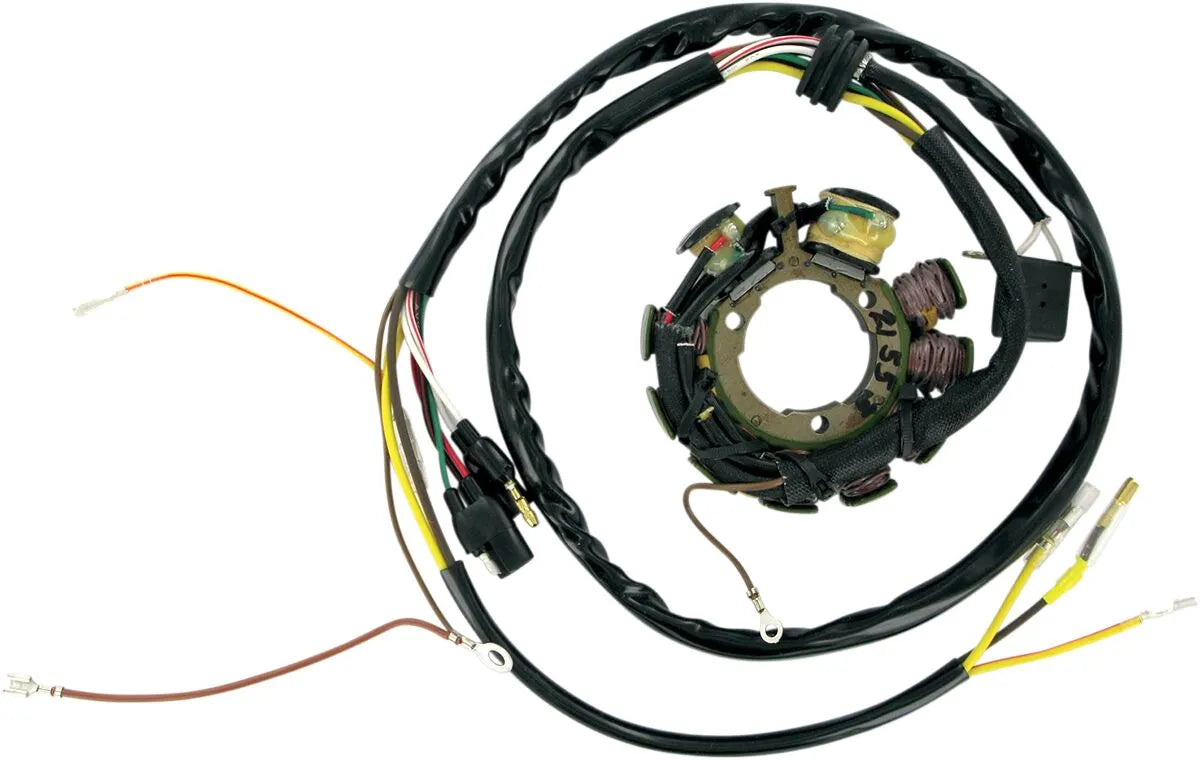RICK'S MOTORSPORT ELECTRIC Stator Polaris - PE21120338 bild 1 PMIMAGE:8786B1A0A3EF97A6EAA4