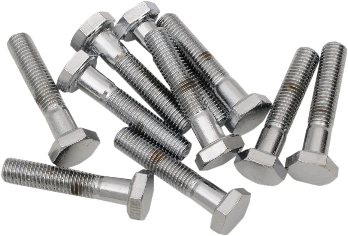Drag Specialties Replacement Fine Thread Hex Head Bolts Monteringssats sortiment - PEDS190629 bild 1 PMIMAGE:A4B68395B020F980FADE