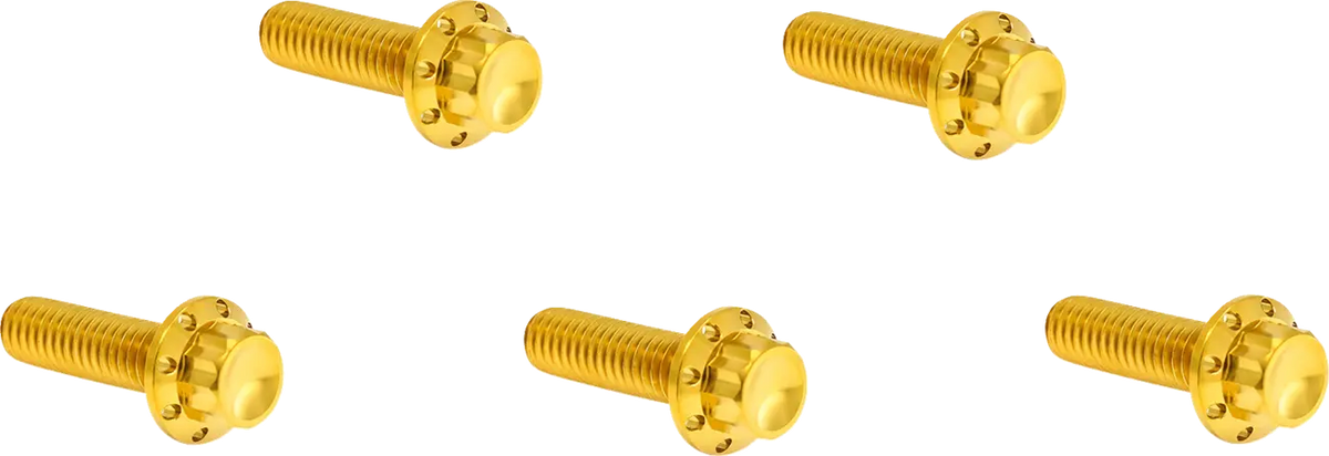 Arlen Ness Derby Cover Titanium 12-Point Bolt Kit Monteringssats fordonsanpassade - PE24011792 bild 1 PMIMAGE:C92D7197FF4D90BDE8C7