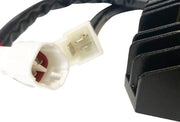 RICK'S MOTORSPORT ELECTRIC Hot Shot Lithium-Ion Regulator - PE21121803 bild 2 PMIMAGE:1E1668ABFCF24324FBDE