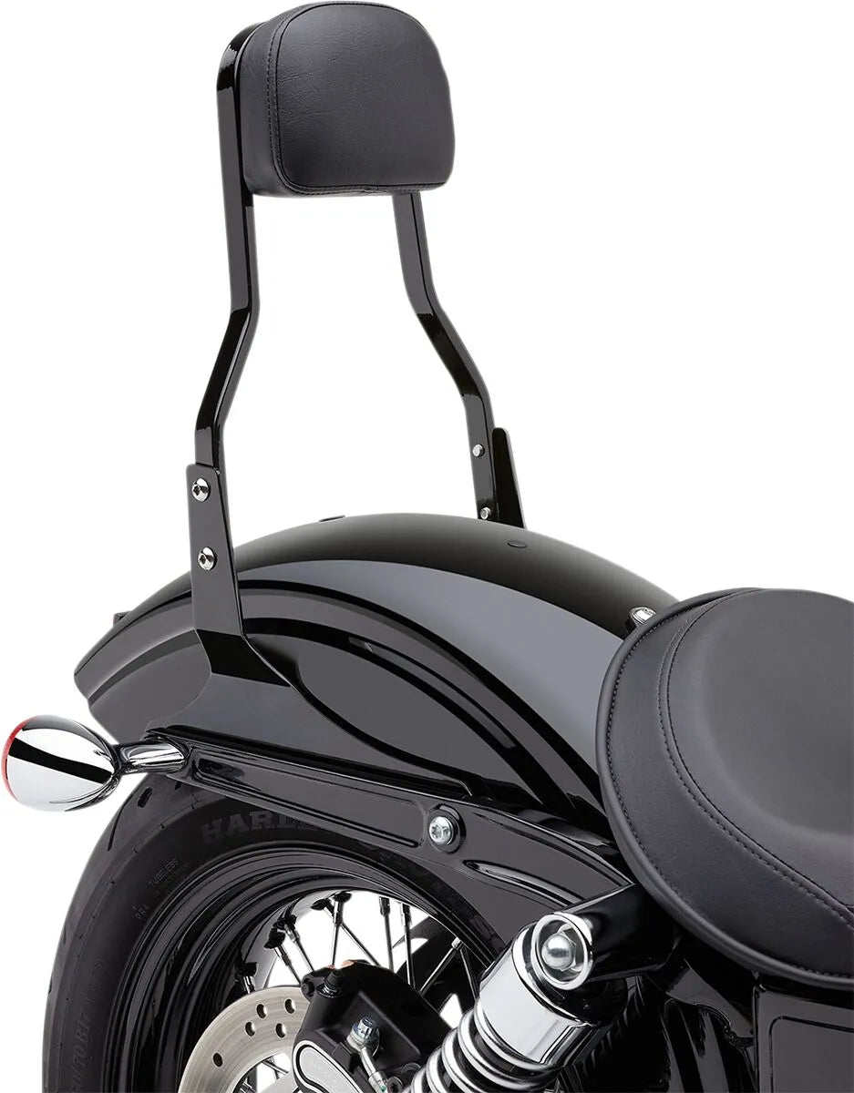 Cobra Square Sissy Bar Kit Sissybars - PE15010462 bild 5 PMIMAGE:AB25E6B6DAEC7C3FFA15