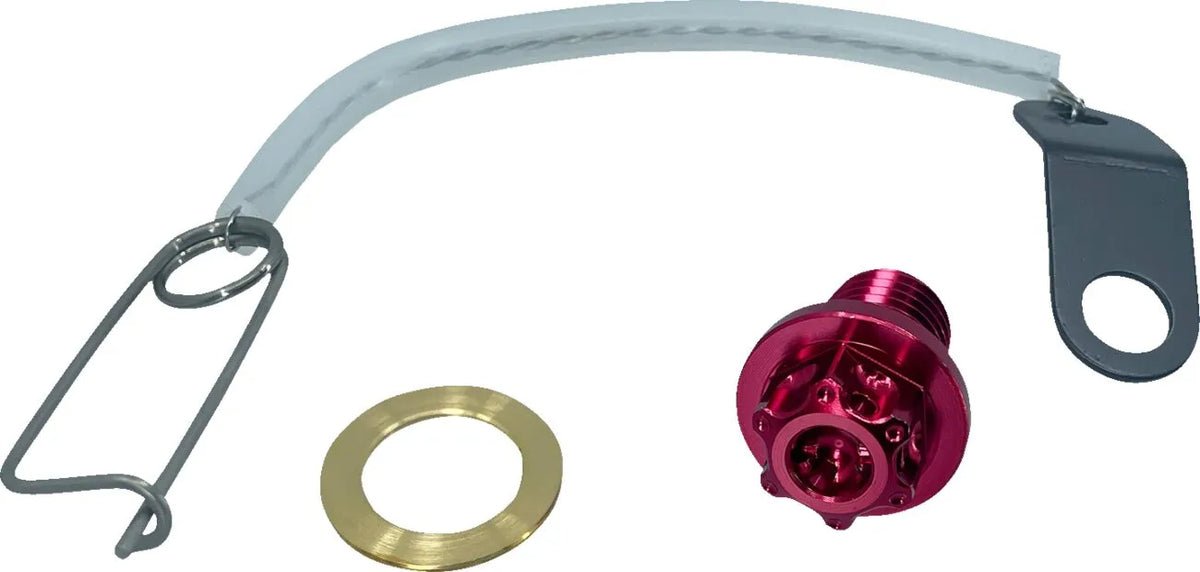 Psr Magnetic Oil Drain Plug Kåpor & vevhusdelar - PE09200108 bild 1 PMIMAGE:9D95955DC67DA59A8145