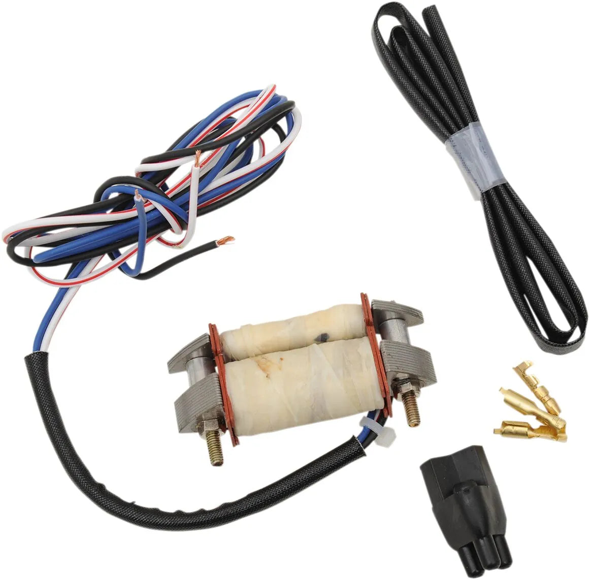 RICK'S MOTORSPORT ELECTRIC Stator Reparationskit för Kawasaki KX80 - PE21121243 bild 1 PMIMAGE:E319128F67EF8692FF7A