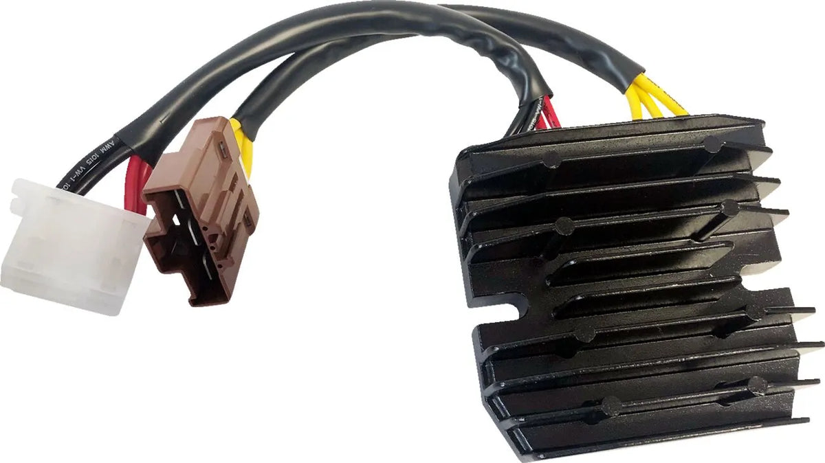RICK'S MOTORSPORT ELECTRIC Hot Shot Lithium-Ion kompatibel Regulator - PE21121708 bild 1 PMIMAGE:D348FC410430460EDBCD