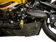Thrashin Supply Co Forged Carbon Fiber Skid Plate Motorskydd - PE05062534 bild 8 PMIMAGE:F7F96D45628AFE456F1D