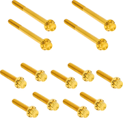 Arlen Ness Outer Primary Cover Titanium 12-Point Bolt Kit Monteringssats fordonsanpassade - PE24011730 bild 1 PMIMAGE:490D6D951EAC3C838D8D